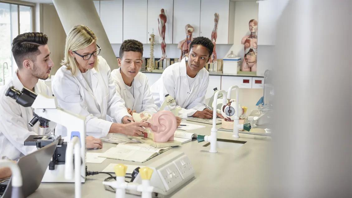 group of students with a teacher learning about ear anatomy