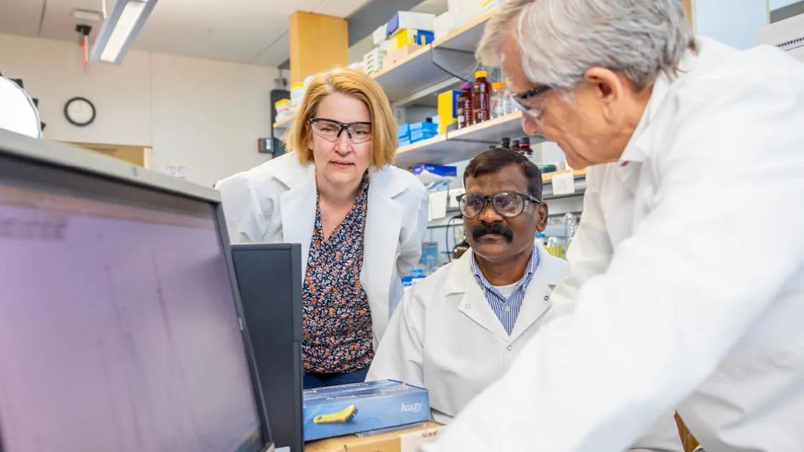 Drs. Maureen Kachman, Thekkelnaycke Rajendiran, and Charles Burant