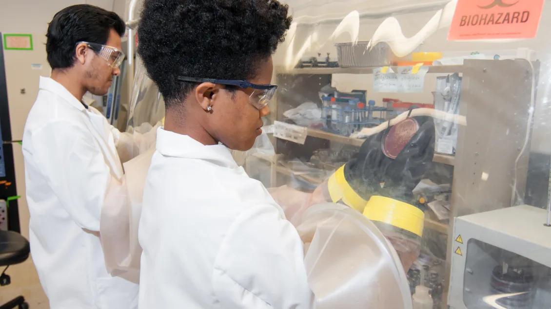two researchers working in a lab