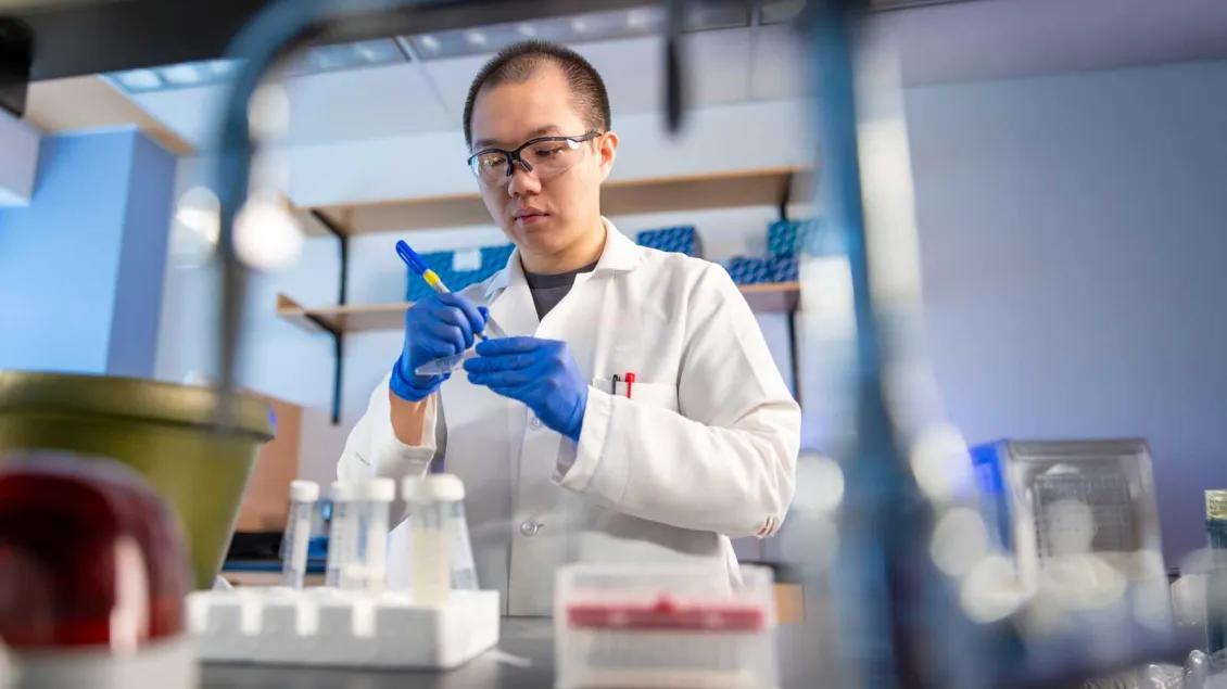 Alt text: A scientist wearing a white lab coat, blue gloves, and safety goggles uses a pipette to transfer liquid into a small vial in a brightly lit laboratory. Test tubes, racks, and lab equipment are visible on the bench, with shelves of supplies in the background.