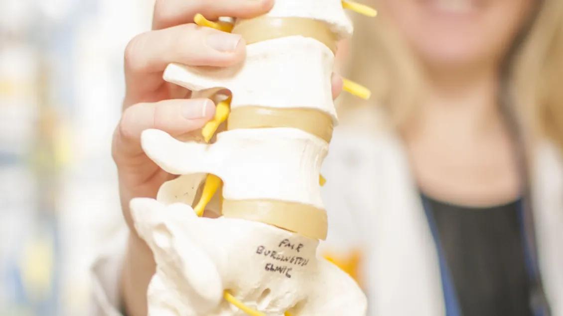 Doctor holds spine model up to the camera