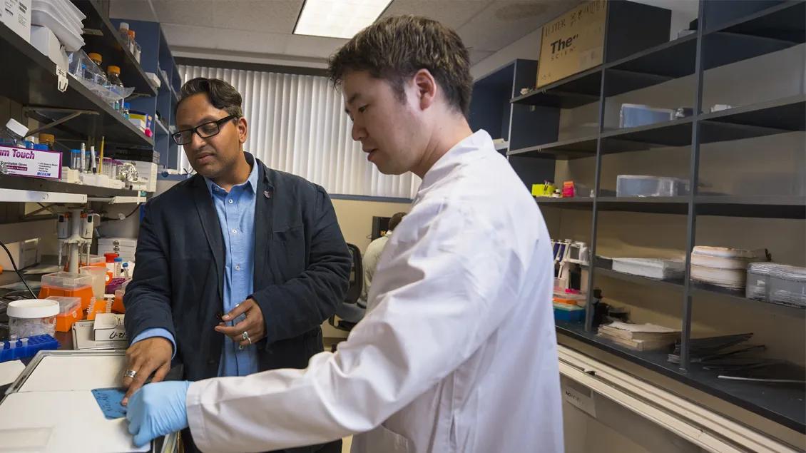 Venneti and trainee in a research lab
