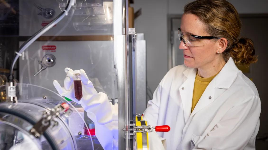 Infectious disease researcher looking at vile