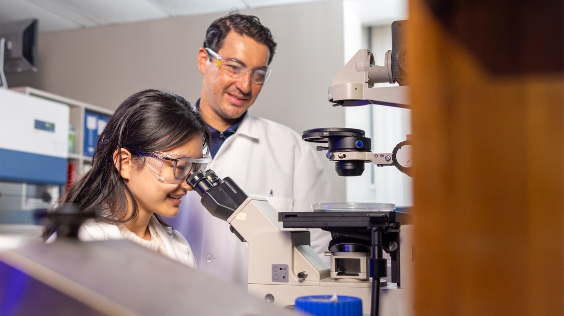two researchers working in a lab