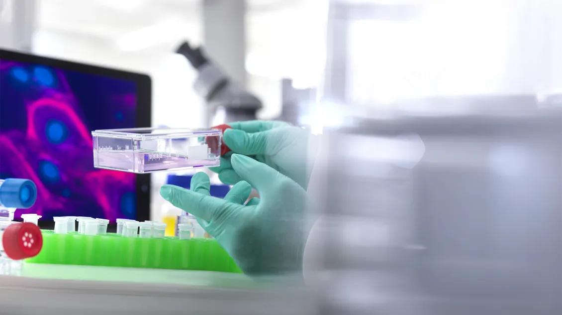 close-up of researcher working in a lab