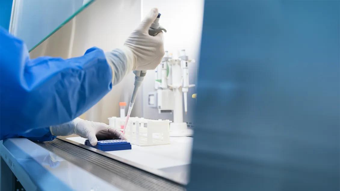 close-up of researcher working in a lab