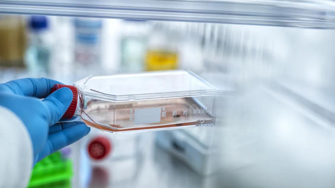 close-up of researcher working in a lab