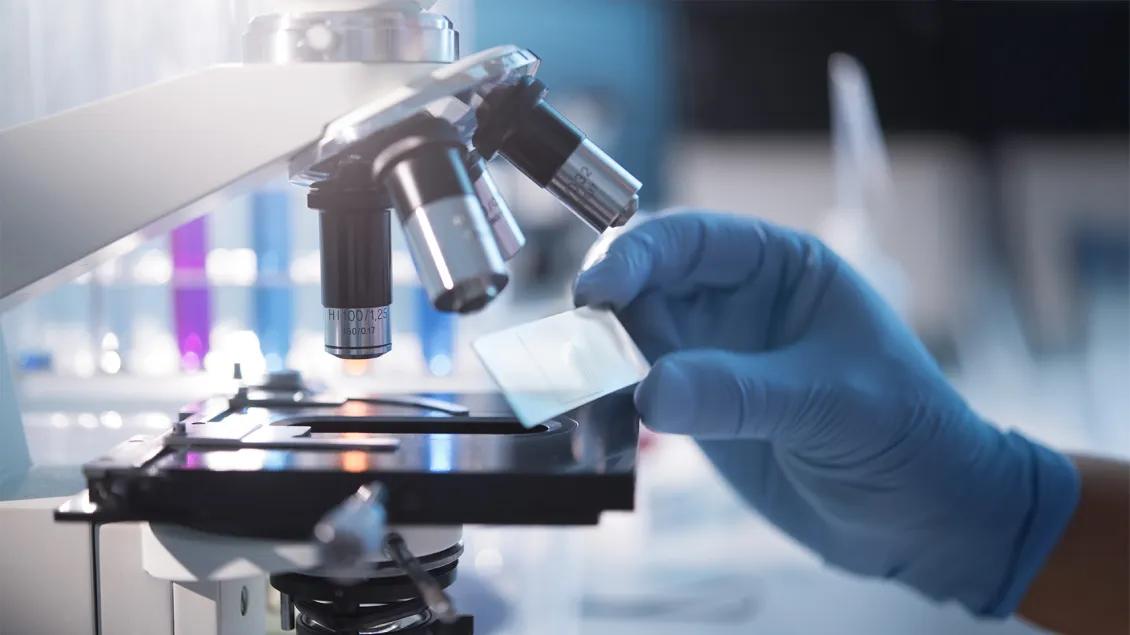 close-up of researcher working in a lab