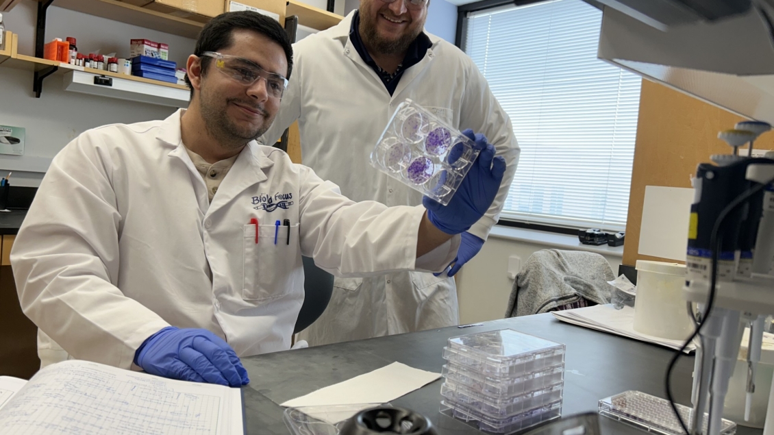 Lyssiotis Lab Research