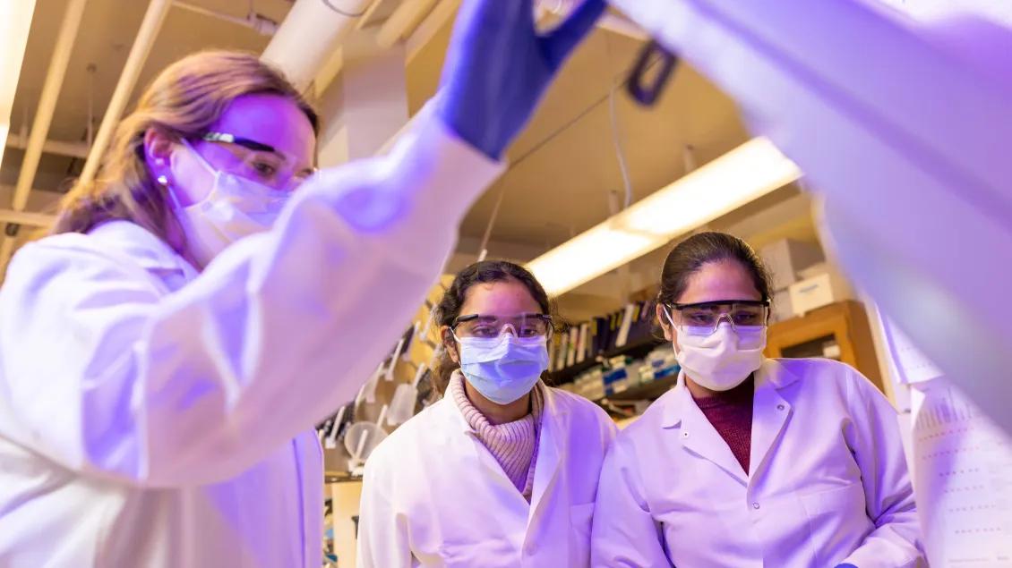 Lab personnel looking at equipment in the lab