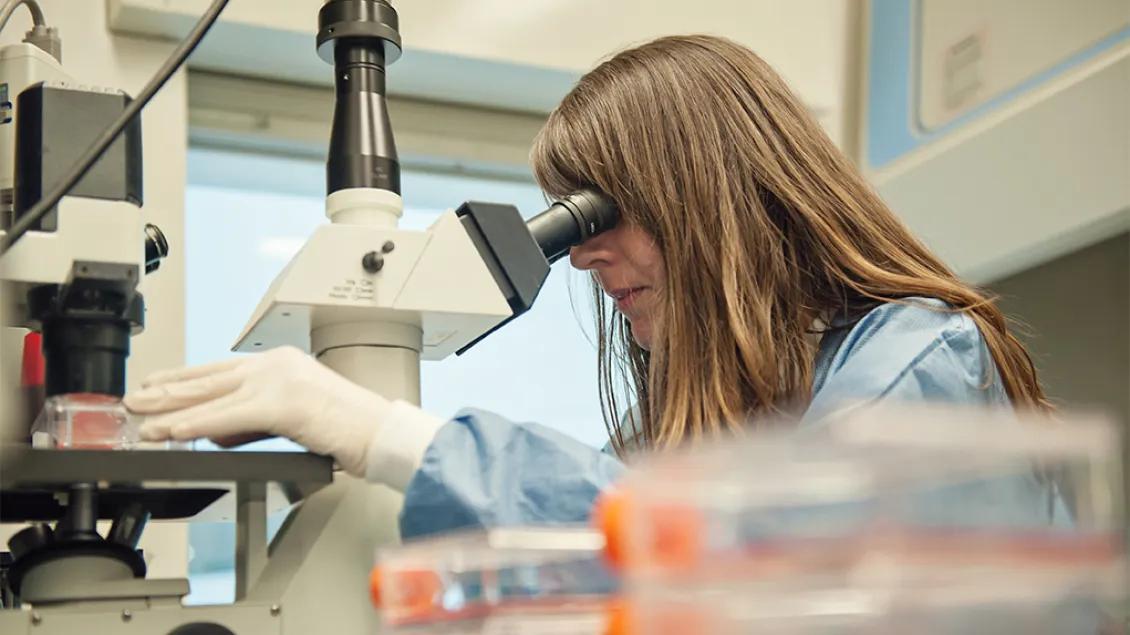 researcher looking into a microscope