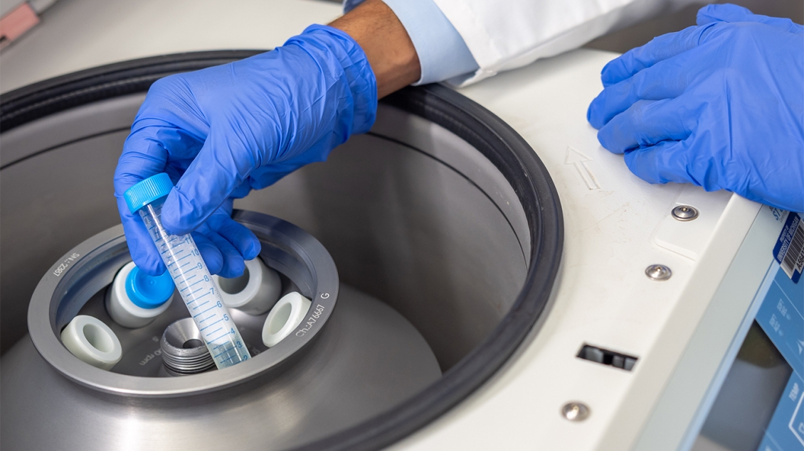 close-up of researcher working in a lab