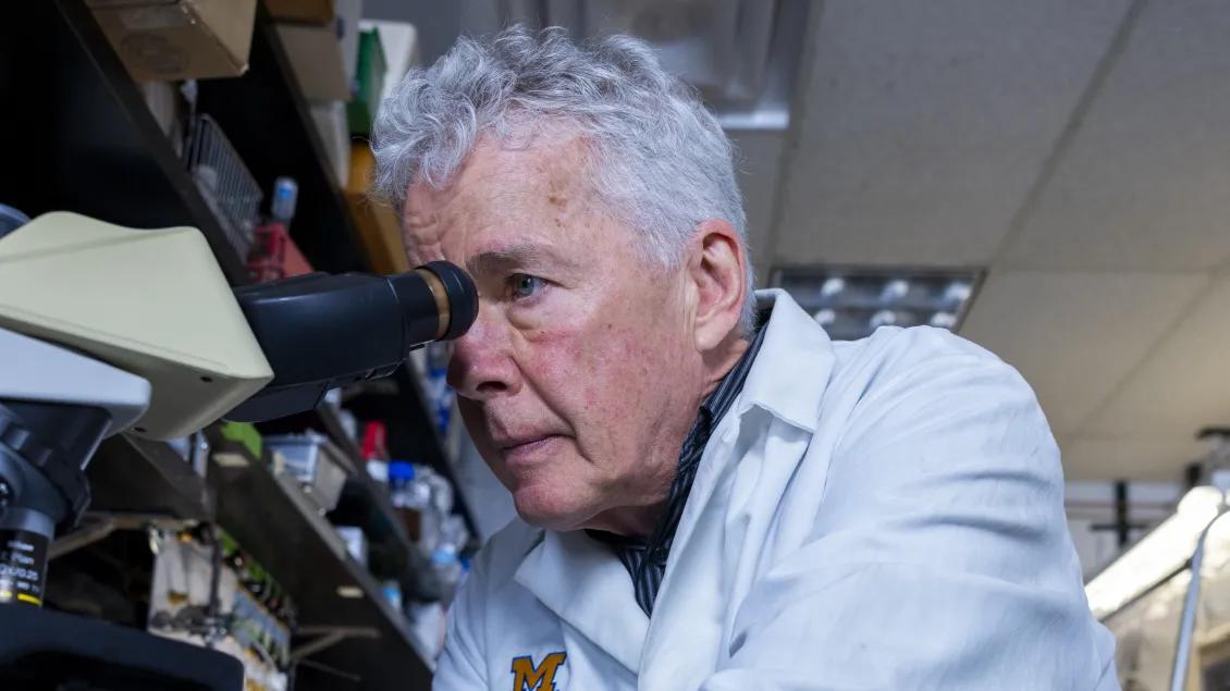 A person with gray hair and a white lab coat looks intently through a microscope in a cluttered lab.