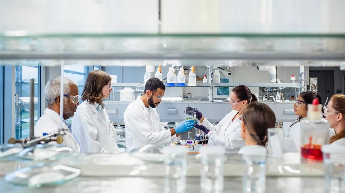 Seven researchers actively working in a lab