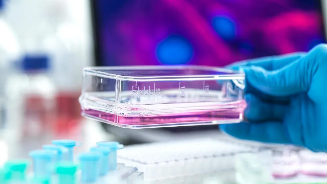 Close up of someone in a lab holding a container with liquid