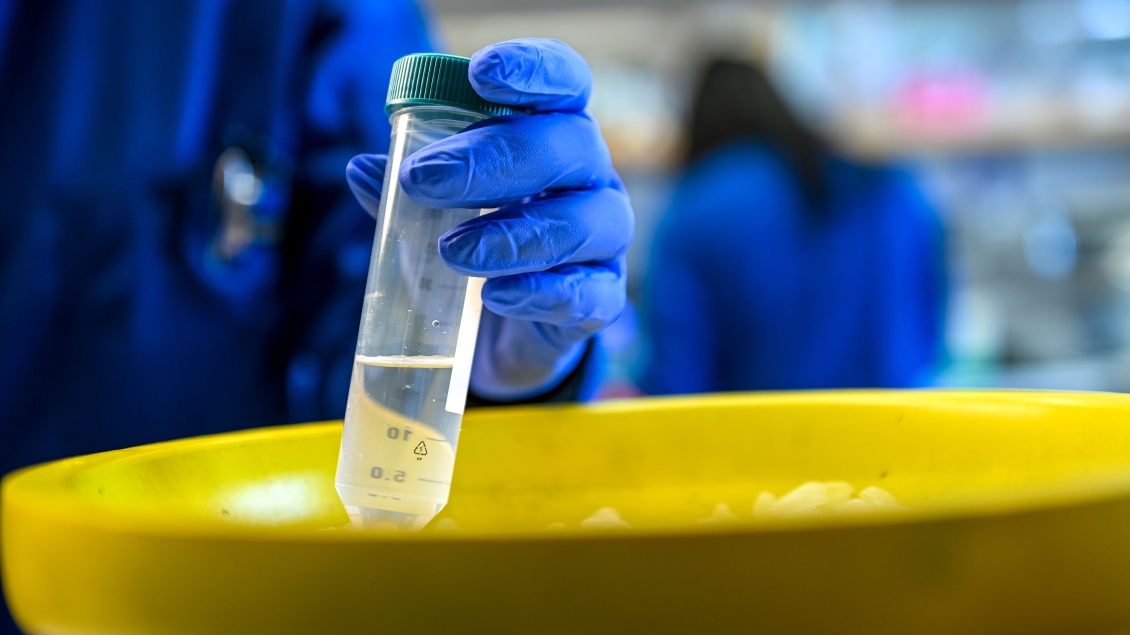 Person holding a test tube in the lab