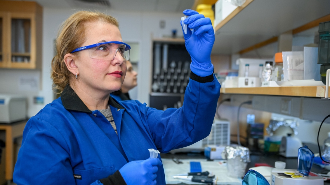 Lab member holding a test tube in the lab