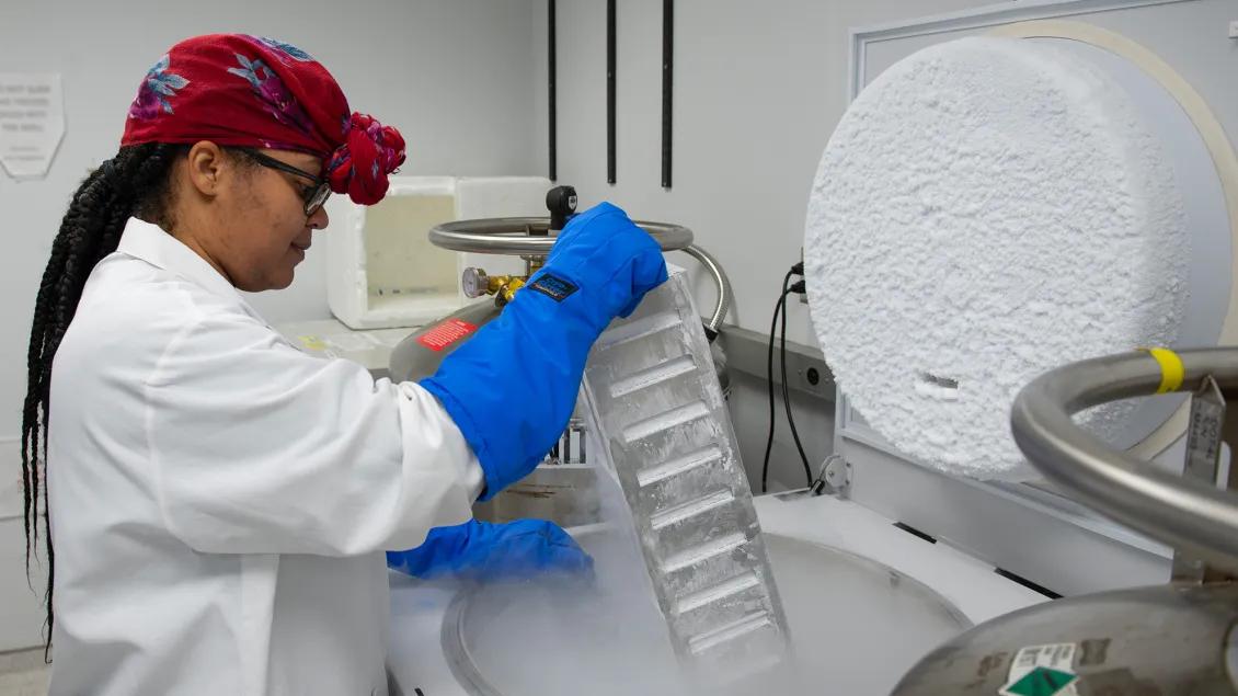 Lab member working with equipment in the lab