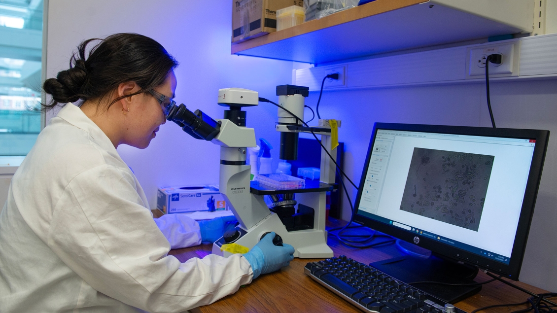Lab member looking through a microscope
