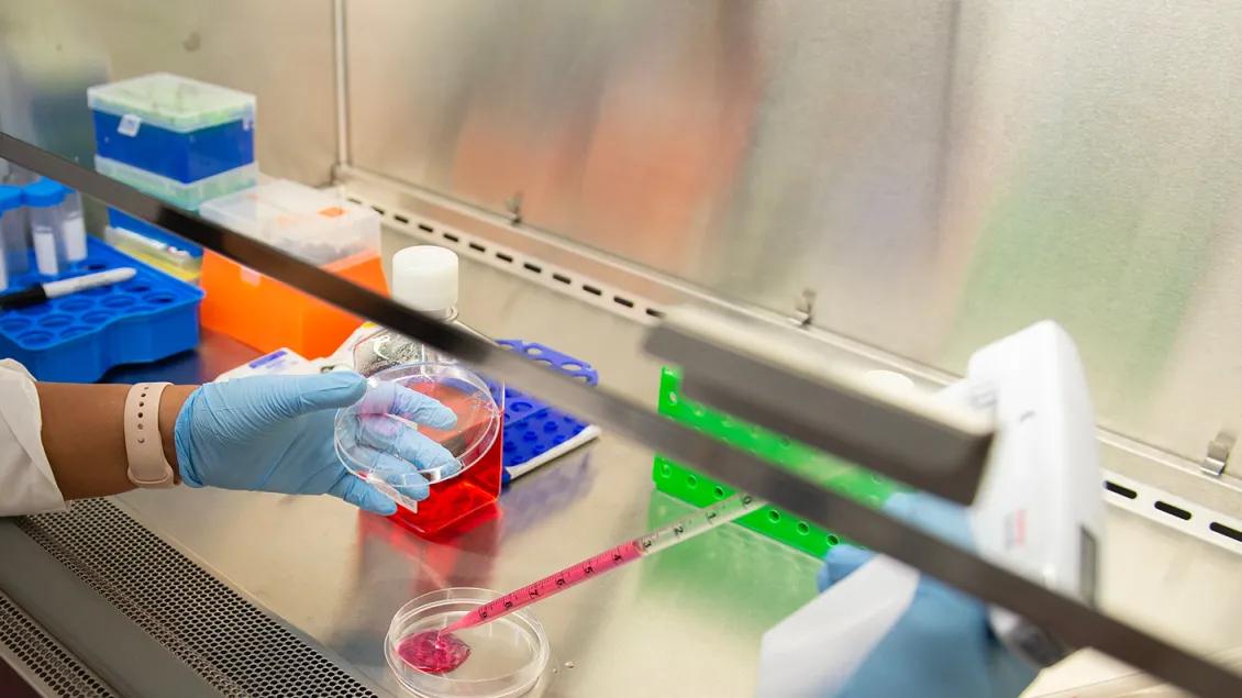 Close up of lab member using equipment in the lab