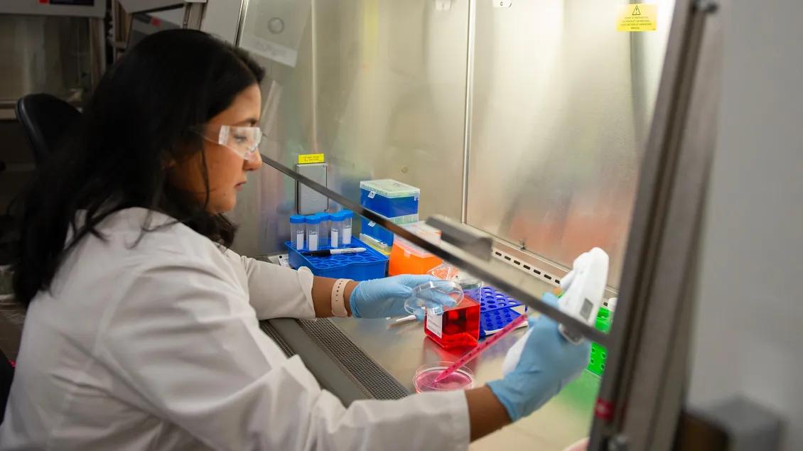 Lab member working with equipment in the lab