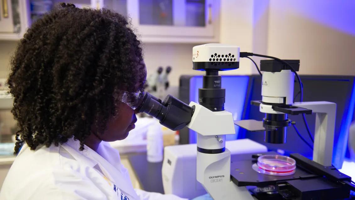 Lab member looking through a microscope