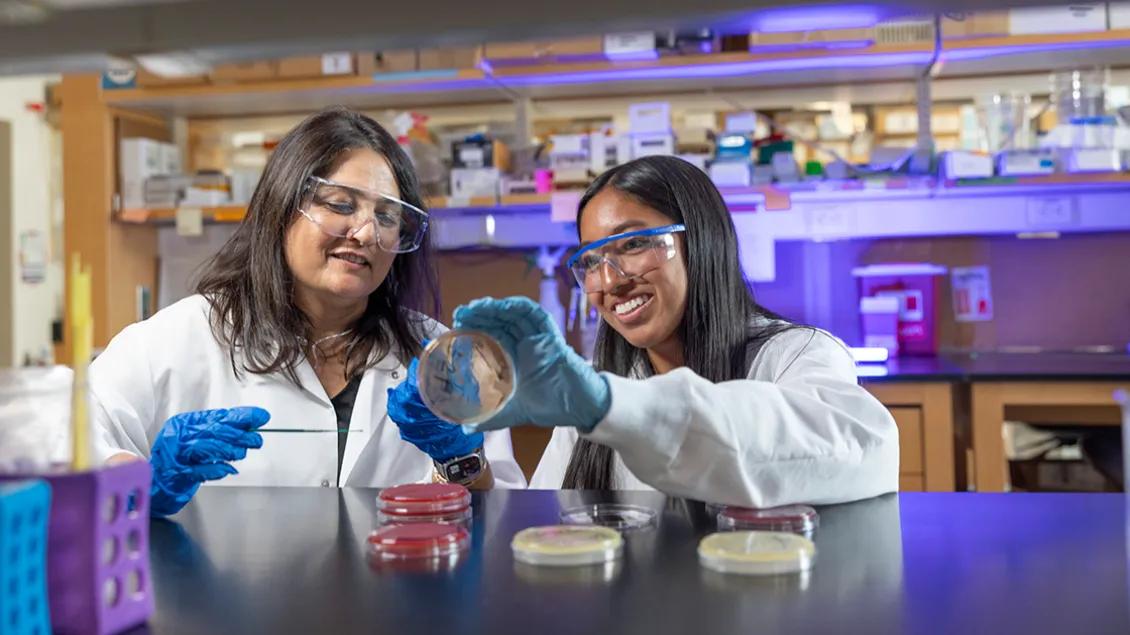 Dr Mody with lab assistant looking at petri dish