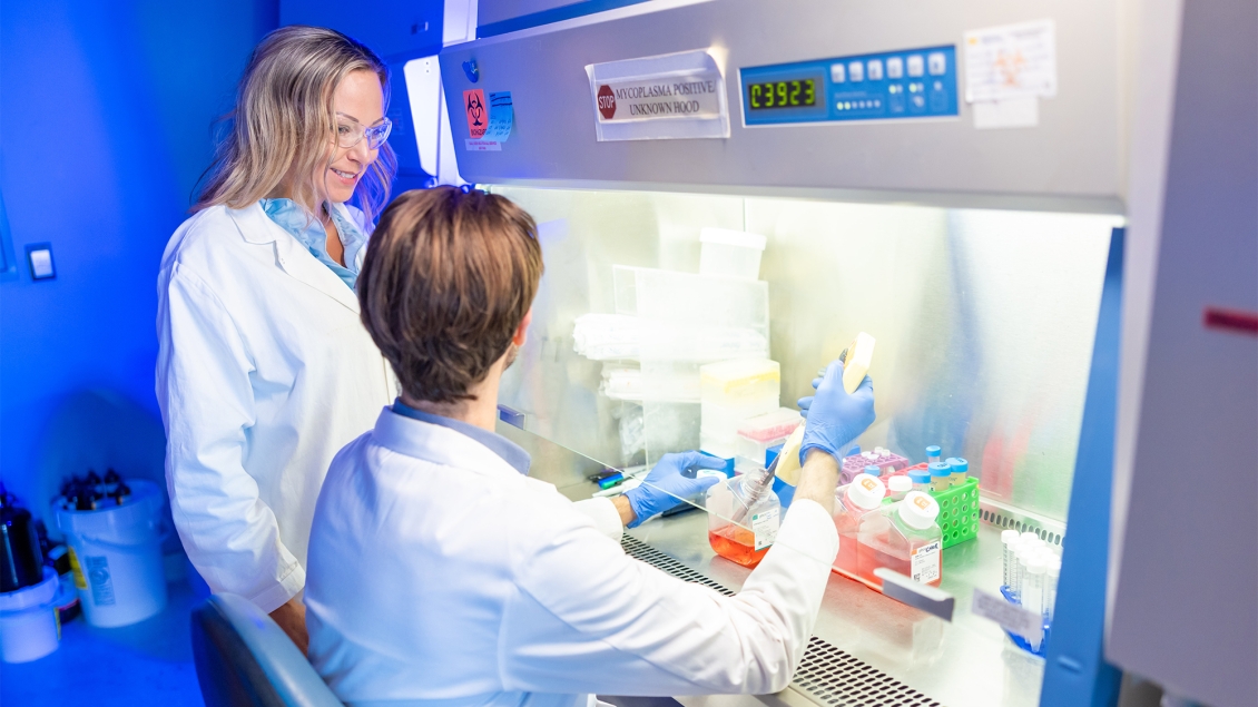 two researchers working in a lab