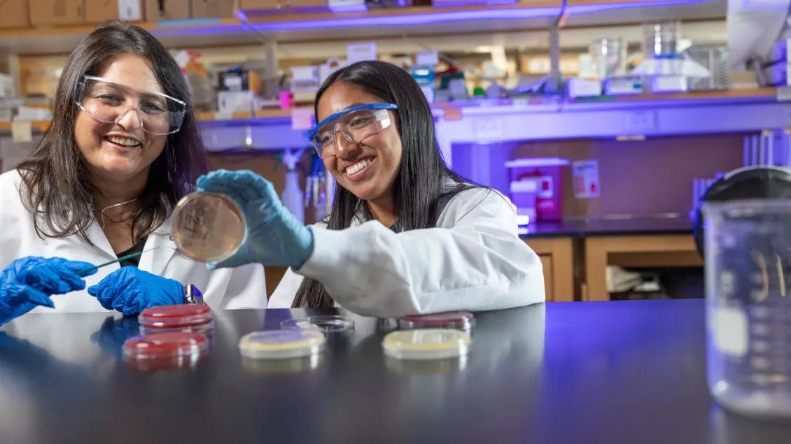 Mona Lody Lab