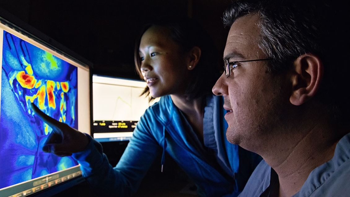 Dr. Matthew Spector and assistant look at images of cancer tumor