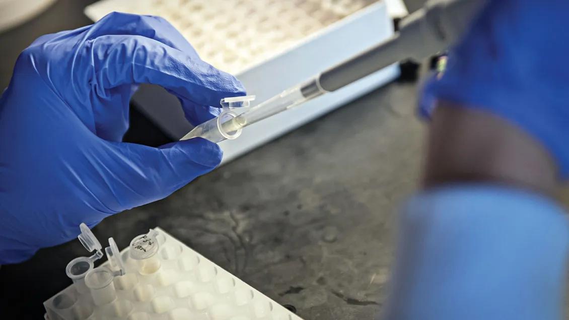 Overview of gloved hands using a pipette
