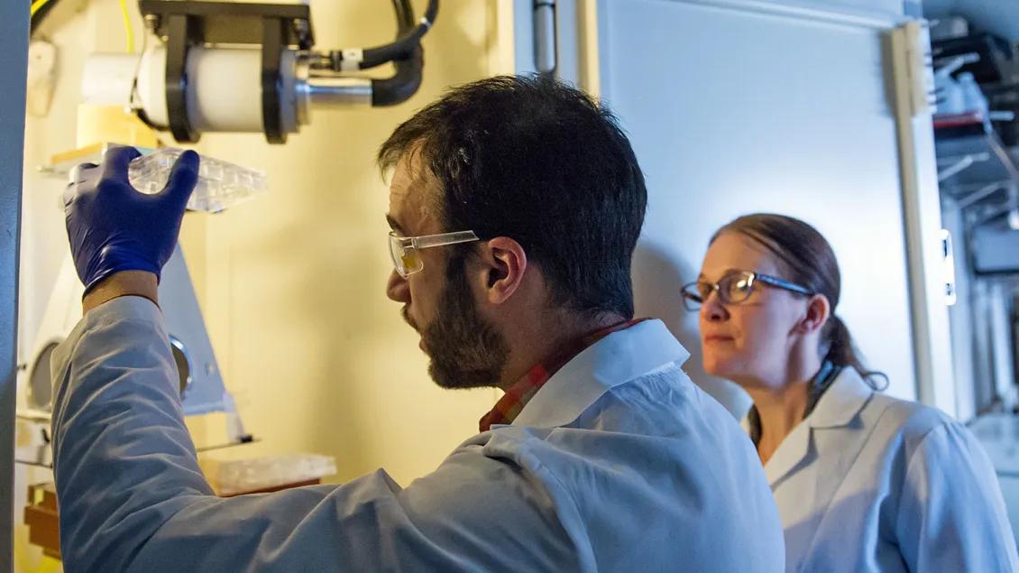 Young bearded man operates a machine to radiate a cell sample