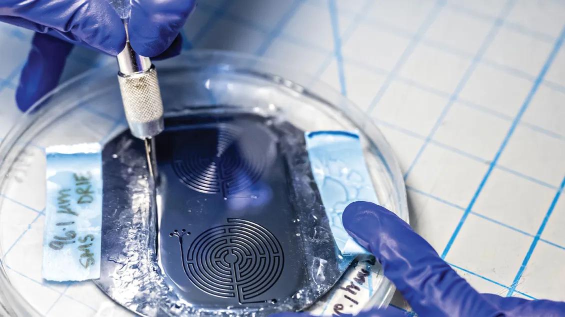 Blue gloved hands place specimen onto a tray