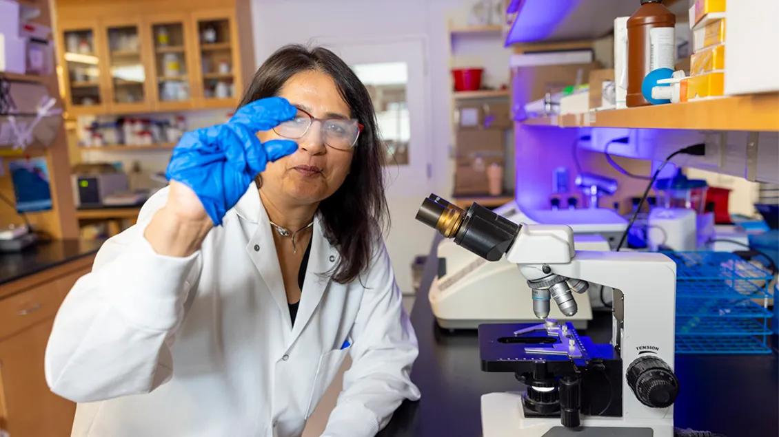 Dr Mody in lab holding up dish and looking at it