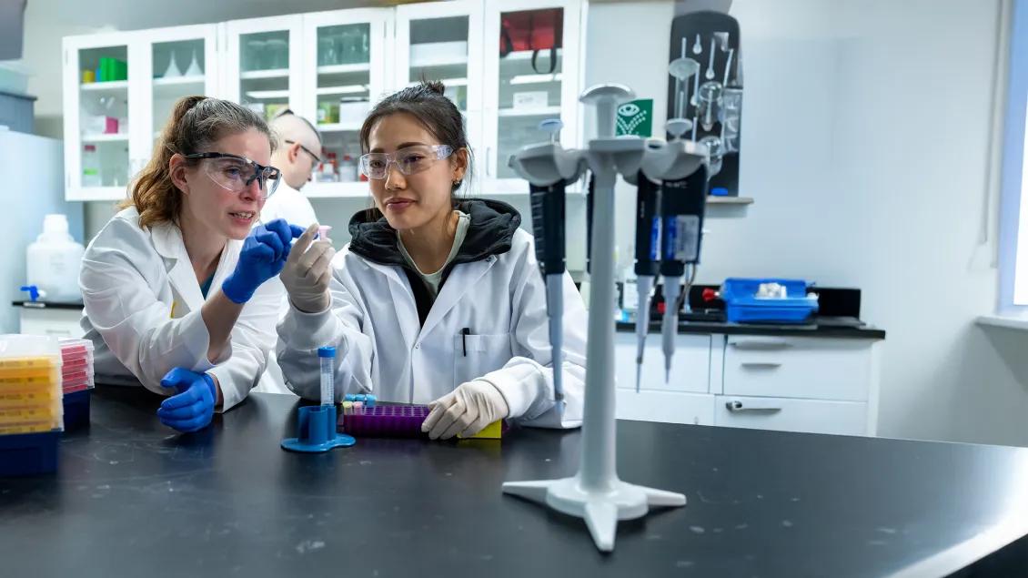 two researchers working in a lab