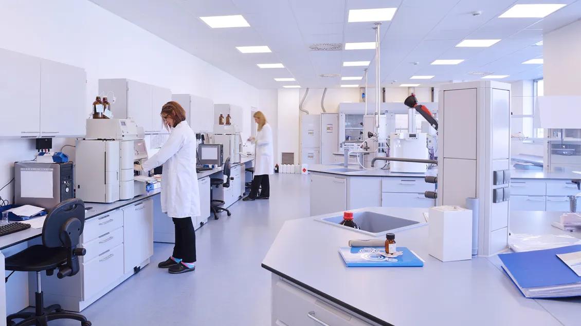 researchers working in a lab