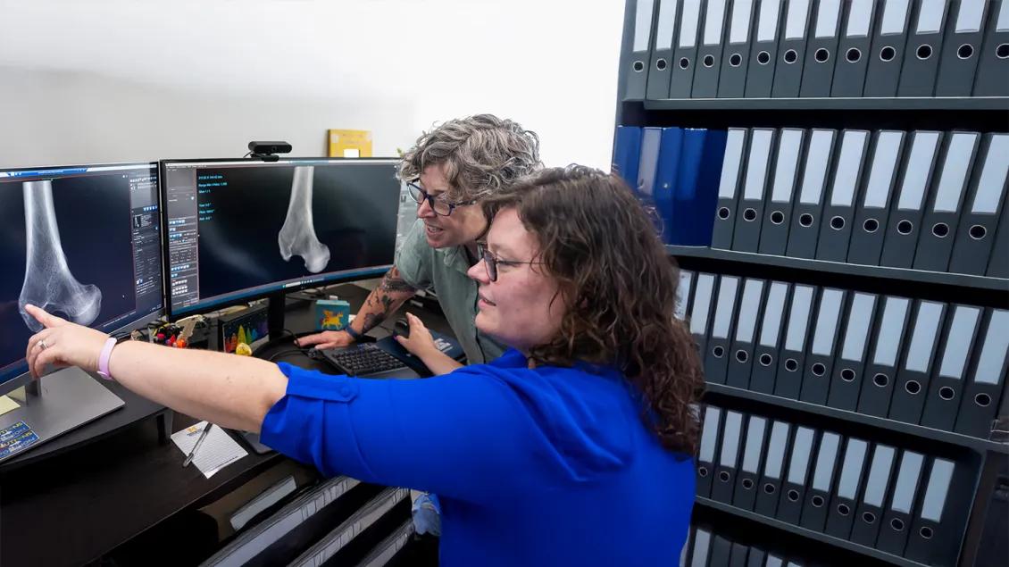 researchers working in a lab