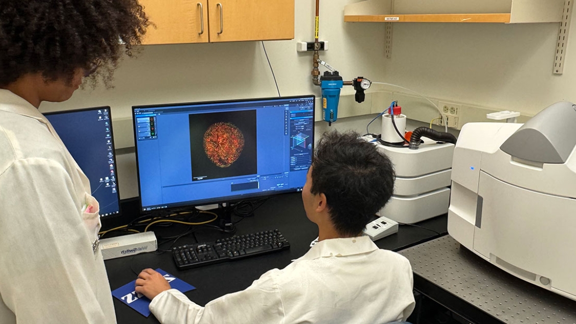 A lab technician looks on as another researcher displays a cancer cell on a monitor
