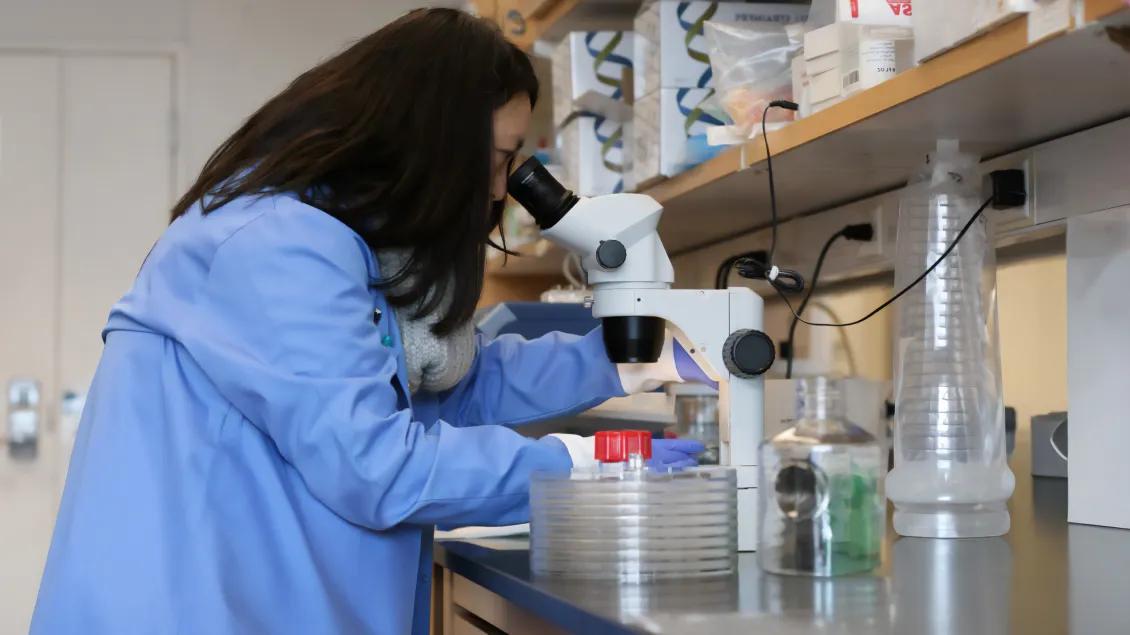 Dr.Hsu-working-in-lab