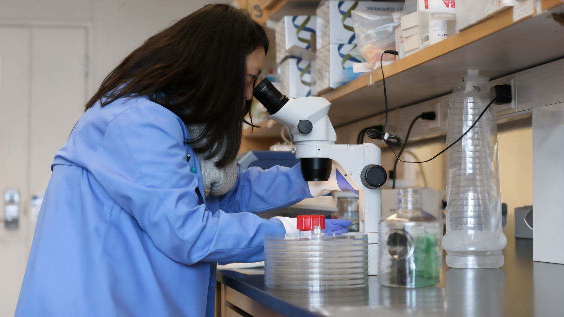 Dr.Hsu-working-in-lab