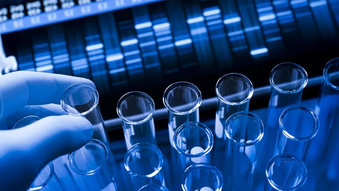 close-up of researcher working in a lab