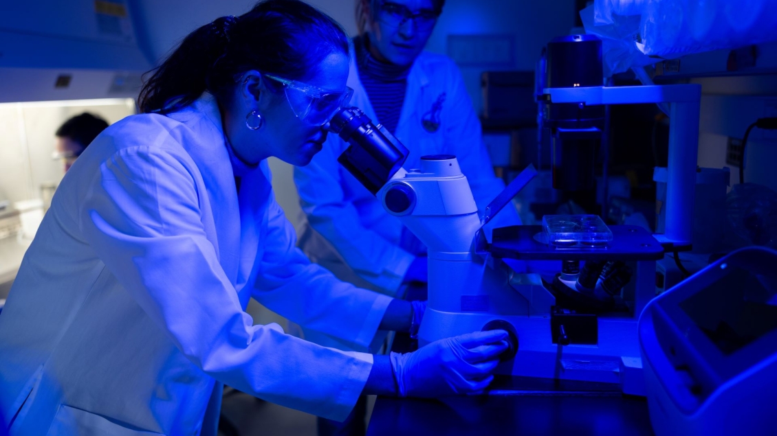 Hammer Lab researchers utilizing an inverted microscope