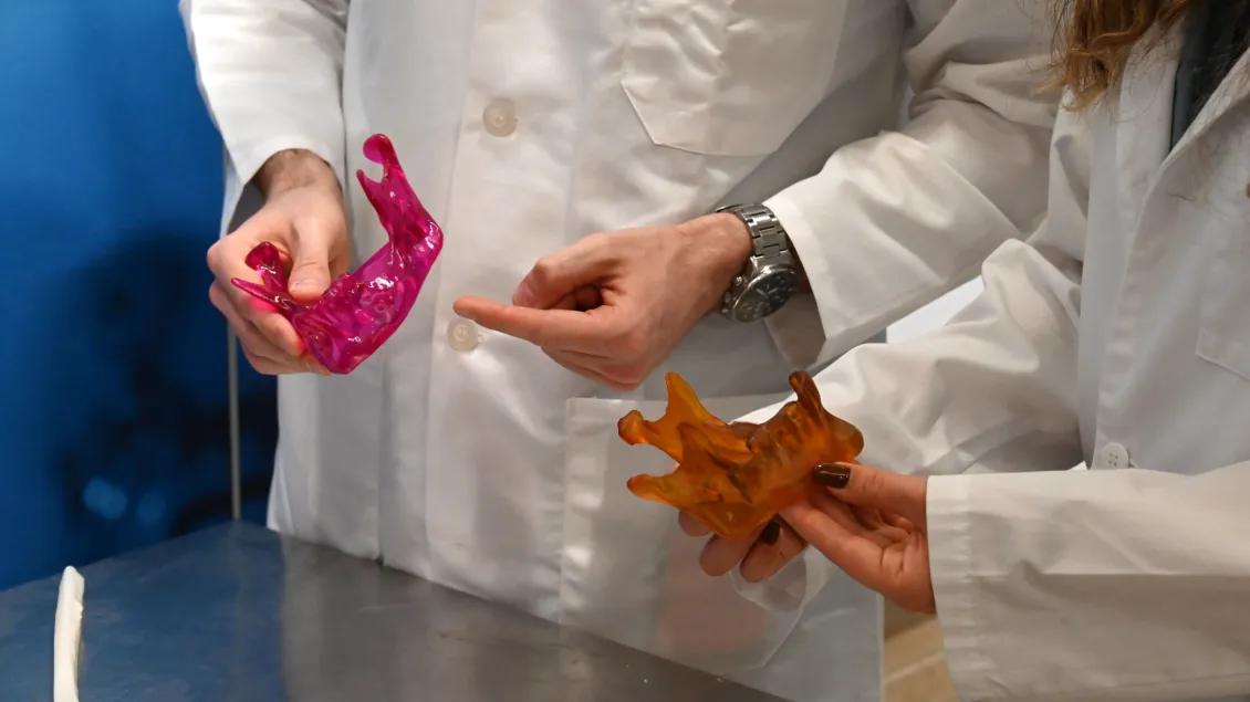 Two people in lab coats examine colorful 3D-printed bone models, one pink and one orange
