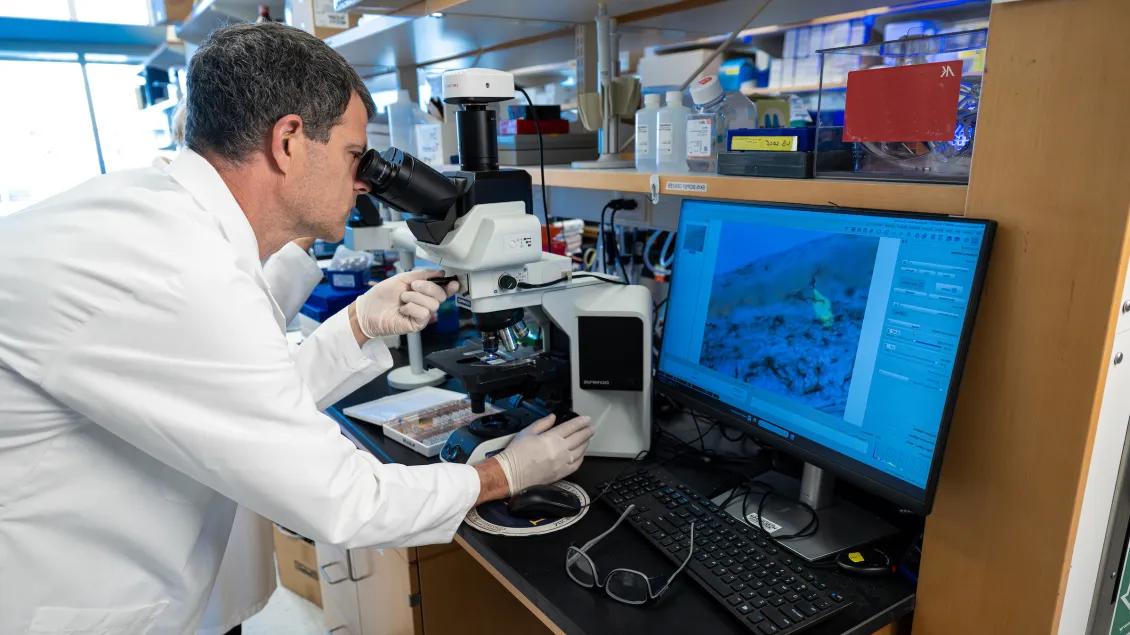 John Hayes looking in a microscope with an image on the screen in the lab