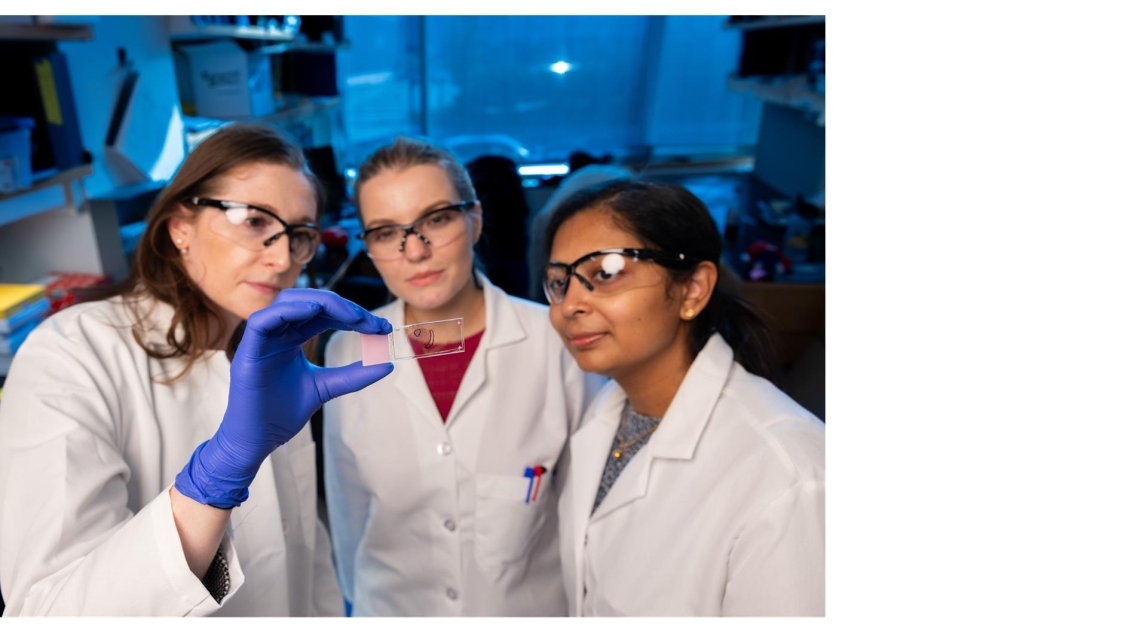 Hammer Lab members inspecting a microscope slide