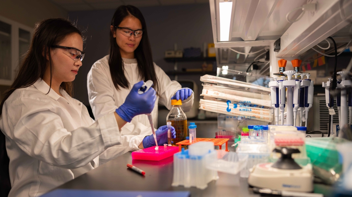Lab members working with equipment in the lab