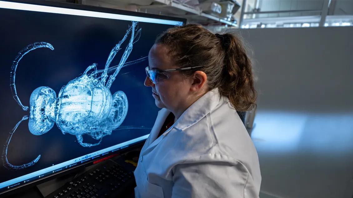 researcher working in a lab looking at a large screen