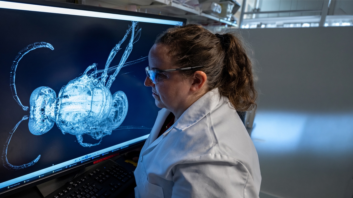 researcher working in a lab looking at a large screen