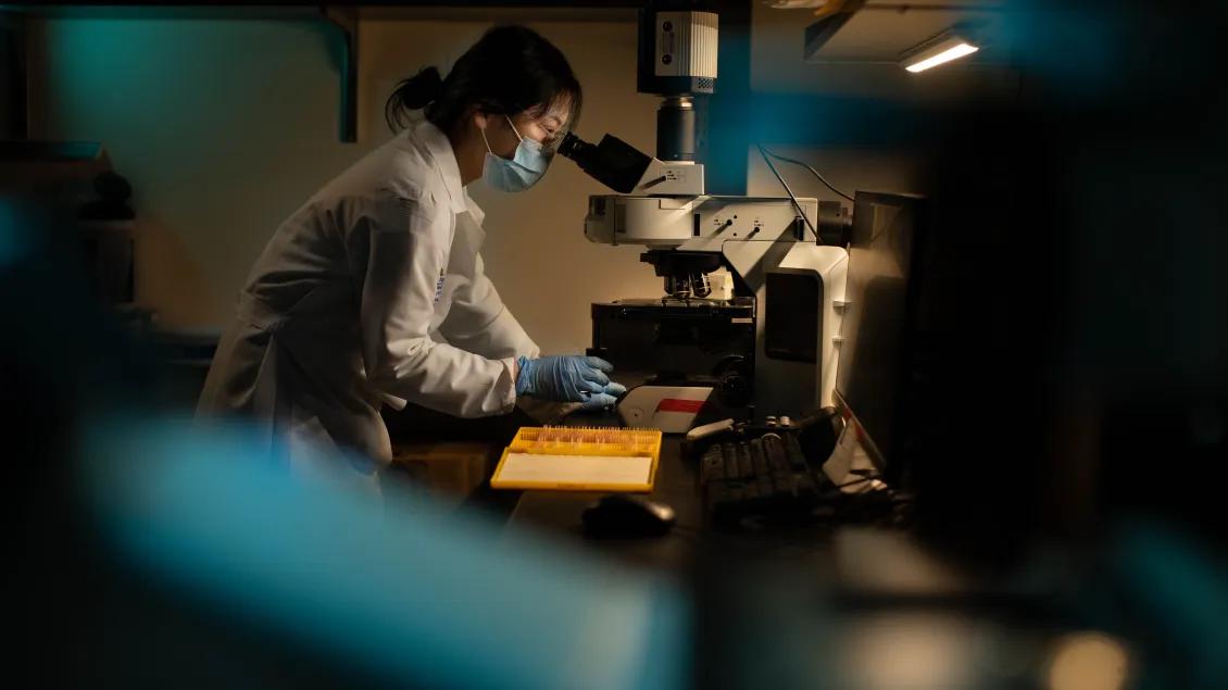 Person in a lab coat and masks adjusts a microscope while in a lab.