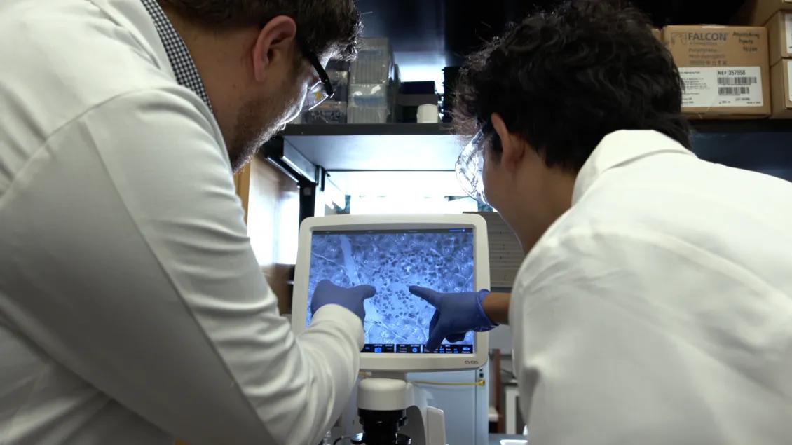 Two people in white lab coats pointing at a screen with a cross section of cells. 